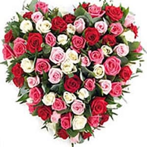 50 Multi Color Heart Shaped Roses